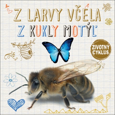 Životný cyklus – Z larvy včela, z kukly motýľ ?