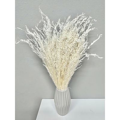 Sušená travina Star Grass bělená 60cm, svazek 90g-95g