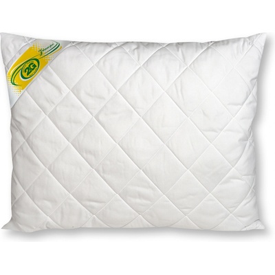 2G Lipov polštář Aloe Vera 70x90