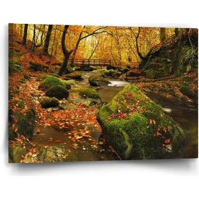 Sablio Obraz Most v lese - 60x40 cm