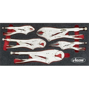 VIGOR V5004