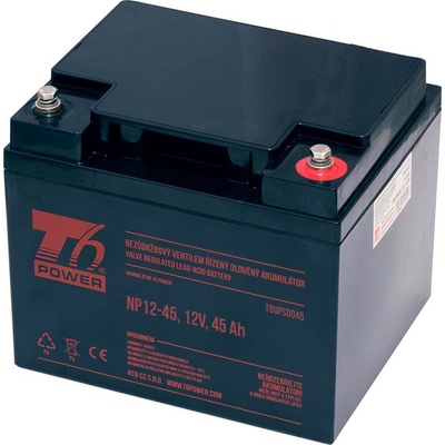 T6 Power NP12-45 12V 45Ah