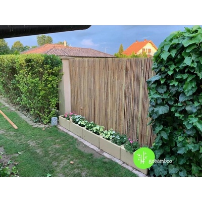 Štiepaný bambus, Veľkosť: š 300 cm x v 200 cm (bambusový plot)