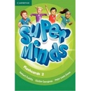 Super Minds 2 Flashcards