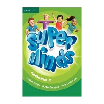 Super Minds 2 Flashcards