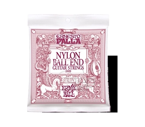 Ernie Ball 2409
