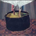 The Phantom Band - The Wants (LP + CD) (5024545602814)