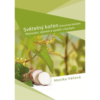Světelný kořen