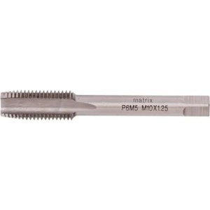 MTX M10x1.25mm P6M5 (766919)