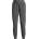 Under Armour Анцуг Under Armour Women's High Rise Woven Performance Tracksuit Bottom - Grey