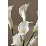 Botané Изкуствен букет Декоративен 65 x 10 cm (BOT.WI25.BOU.001)