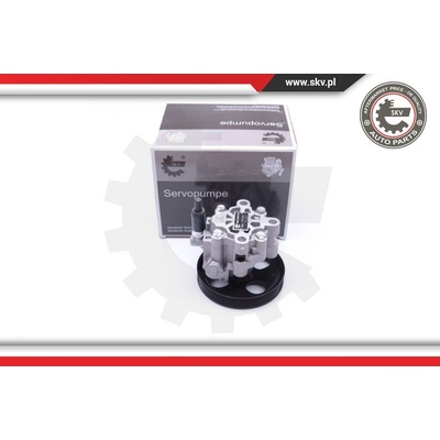Hydraulické čerpadlo pre riadenie ESEN SKV 10SKV287
