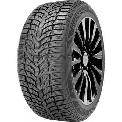 DoubleStar DW08 195/65 R15 91T