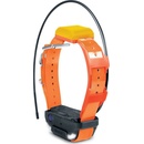 Dogtra PATHFINDER 2