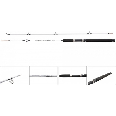 HOKKAIDO ACADEMY AWARD 2,4 m 100-250 g 2 diely