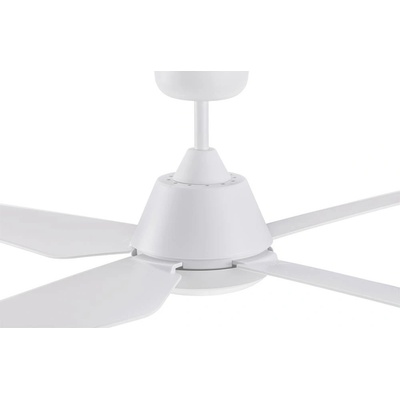 Lucci Air 212994