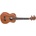 Stagg UT-30