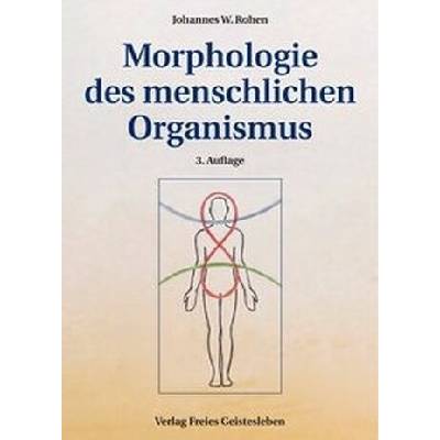 Morphologie des menschlichen Organismus