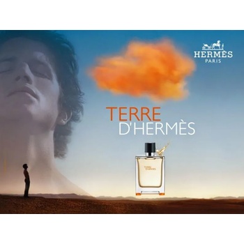 Hermès Terre D'Hermes EDT 50 ml