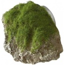 Europet Bernina Aqua Della Moss Stone S 12x9,5x10,5 cm