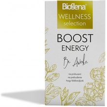 Biogena Wellness Boost Energy 20 x 1,8 g