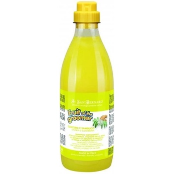 IV San Bernard Zenzero Sambuco 1000 ml