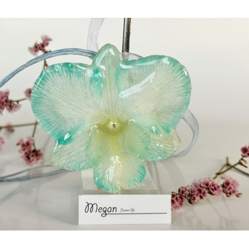 Meganflo Триизмерна Катлея