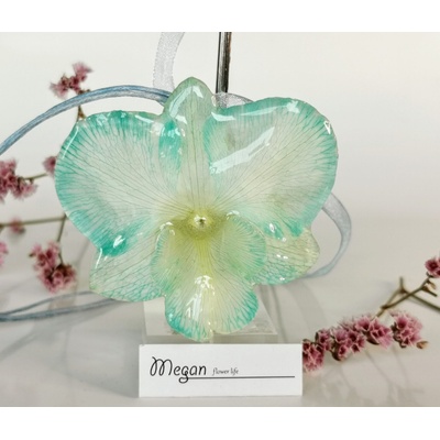 Meganflo Триизмерна Катлея