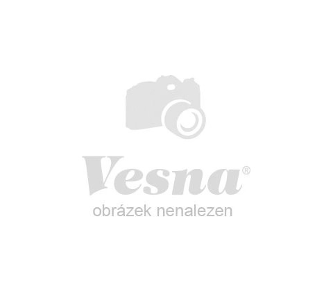 Vesna Saron