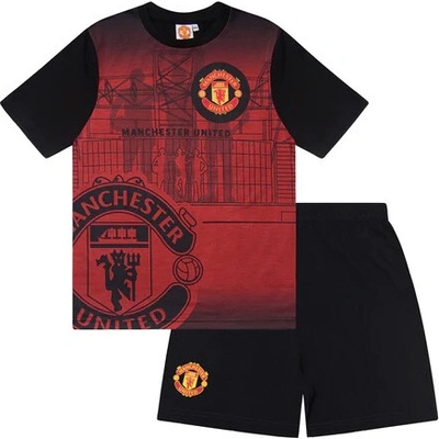 Fan-shop Manchester United Large Crest