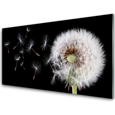Obraz na skle Pampeliška 100x50 cm