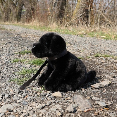 Eco-Friendly Rappa pes labrador čierny 25 cm