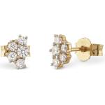 GUESS jsbe04493jwygt/u (jsbe04493jwygt/u)