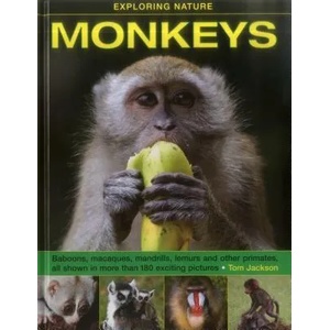 Exploring Nature: Monkeys | Tom Jackson (ISBN: 9781861474971)