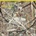 The Bad Plus - COMPLEX EMOTIONS Vinyl
