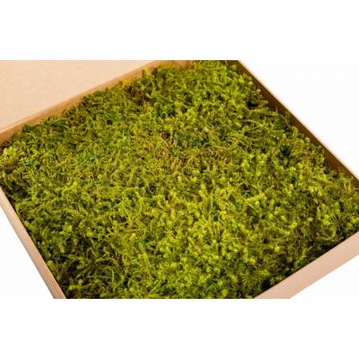 Stabilizovaný mech, star moss