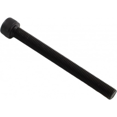 Skrutka M10x100x1,25mm