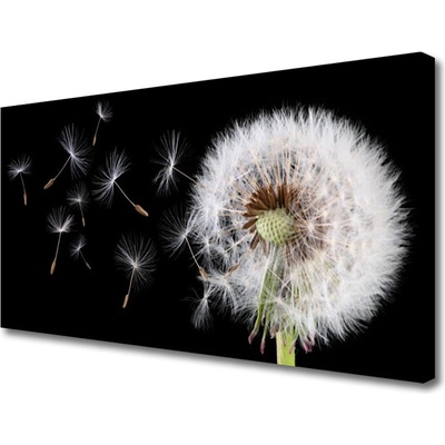 Obraz na plátně Pampeliška 100x50 cm