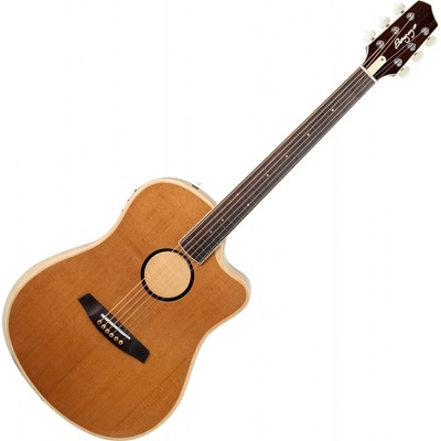 L.R. Baggs AEG-1