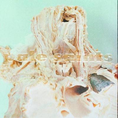 Pale Saints - In Ribbons (30th Anniversary Re: Masters) (Reissue) (LP) (0191400040717)