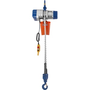 MSW Количка с верижен телфер - 2 000 кг - 6 м proliftor 2000 (proliftor 2000)