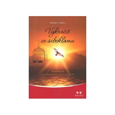 Vykročit ze sebeklamu - Rodney Smith