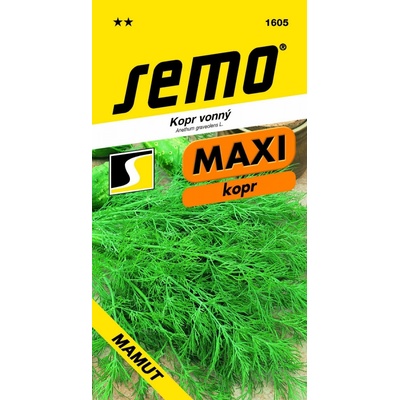 Kopr vonný Mamut