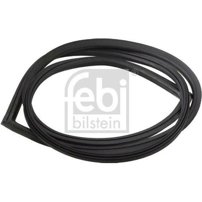 Těsnění, zadní sklo FEBI BILSTEIN 08871