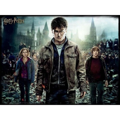 HM Studio 33007 pohyblivé Harry Potter & Ron 300 dielov