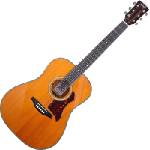 BromoGuitars BAN1V Natural Акустична китара