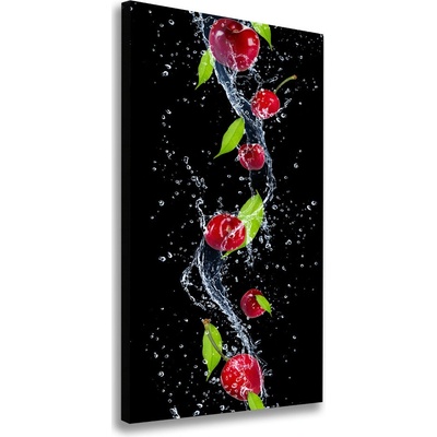 Vertikálny moderný fotoobraz canvas na ráme Višne 50x100 cm