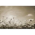DIMEX ART Флизелинов фототапет винтидж пейзаж 375 x 250 см