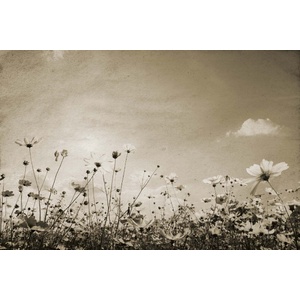 DIMEX ART Флизелинов фототапет винтидж пейзаж 375 x 250 см