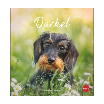 Dackel Postkarten 2027